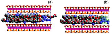 Snapshot of (a) dry and (b) solvated PEO-Li-silicate nanocomposites. The silicate crystals are shown as polyhedra, Li+ as blue spheres, PEO as the grey and red spheres and solvent as the green sticks.37