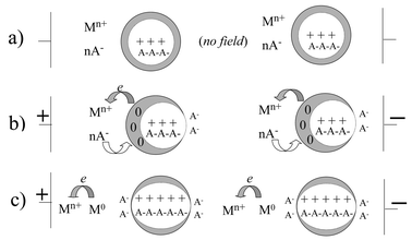 Schematic representations of proposed mechanism for changes in composite impedance with applied field: (a) at zero field; (b) showing particle polarisation under applied field; (c) electron transfer from particle to redox metal ion under applied field.