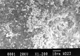 Surface morphology (SEM image) of a natural patina after corrosion treatment.