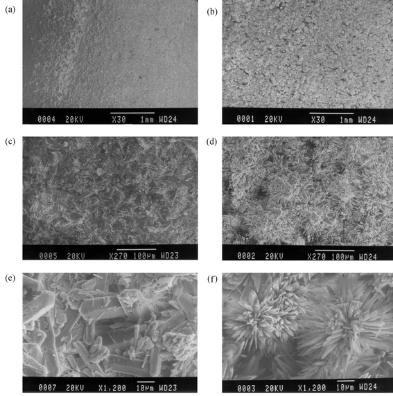 SEM images of copper samples covered with antleritic (a, c, e), brochantitic (b, d), and mixed antleritic–brochantitic (f) patinas.