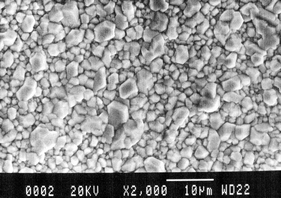 SEM image of a copper specimen covered with cupritic patina after the electrochemical treatment.