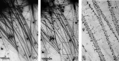 TEM micrographs of AgI nanowires prepared in Triton X-100 microemulsions: (a) AgI nanowires: [Ag+]
= 0.05 M, [SiO32−]
= 0.1 M, [I−]
= 0.15 M; (b) decomposed AgI nanowires after a few seconds illumination; (c) a selected area of (b) with high magnification.