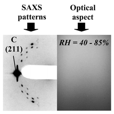 2D-SAXS pattern, together with the corresponding interference image, of an as-prepared film (in the MSS) deposited via the RH = 40–85% process.