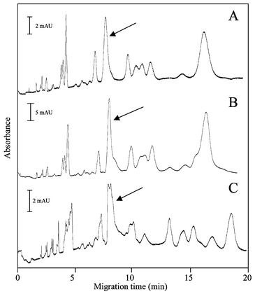 CE analysis of microchip proteolyzed β-casein. (A) Microchamber digestion at ambient temperature using immobilized trypsin gel beads with the ‘parking’ method; potential (1 kV) applied for three 4 minute periods interspersed with two 1 min periods with no potential. (B) Microchamber digestion at ambient temperature using immobilized trypsin gel beads without parking (‘continuous flow’); potential applied for 12 min. (C) Positive-control. Free solution trypsin digestion in water bath at 37 °C for 18 h. The arrows indicate peaks representing intact, undigested β-casein. See text for CE conditions.