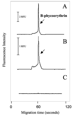 Protein elution from gel and migration through the empty microchamber. The B-phycoerythrin in agarose gel was loaded into the inlet and a potential (1 kV) was applied; sample was collected at the outlet for 60 min. Solution from both the inlet and outlet reservoirs was analyzed by CE-LIF. (A) B-phycoerythrin detected in the inlet reservoir. (B) B-phycoerythrin detected in the outlet reservoir. (C) No protein detected in the inlet reservoir from a blank agarose gel. CE-LIF conditions: see text.