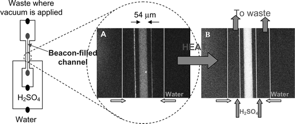 Chip design with fluorescence microscope images taken (A) before and (B) during heating of a TAMRA-beacon solution. The water-to-H2SO4 flow rate ratio was 0.4∶1. Note the difference in fluorescence in the central channel. Signal increases above the melting temperature of the beacon (54.6 °C).