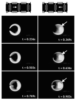 Time lapsed images of two-electrode mixing at 8 Hz demonstrating flow reversibility.