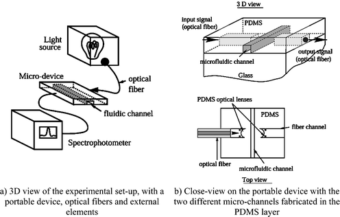 Schematic view of the experimental set-up.