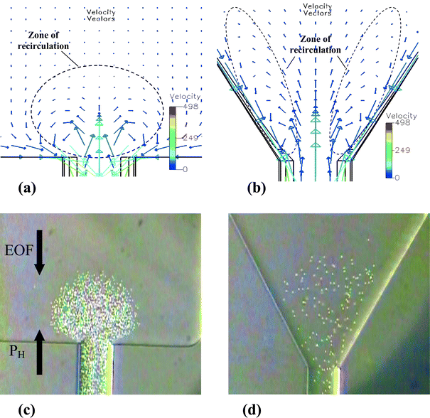 Simulation of the velocity vector field of the flow (μm s−1) of diverging channels with (a) θdiv = 180° and (b) θdiv = 60°, and the corresponding photos (c) and (d) showing bead clustering. Boundary conditions are the same for both diverging channels, that is, an average electric field of E = 200 V cm−1, PH = 7 mbar and A2/A1 = 7. Protein A-coated fluorescent beads (1 μm) were used to obtain these images.