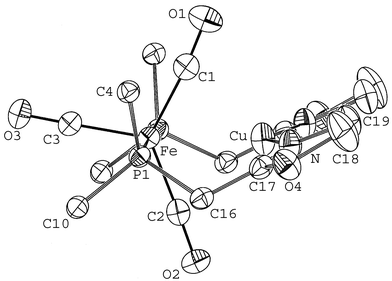 Perspective view of the structure of 2 along the P–Fe–P axis showing the curvature generated by the two, mutually eclipsed assembling phosphinooxazoline ligands. The Fe–Cu bond has been omitted for clarity and only the ipso carbons of the phenyl groups are shown.