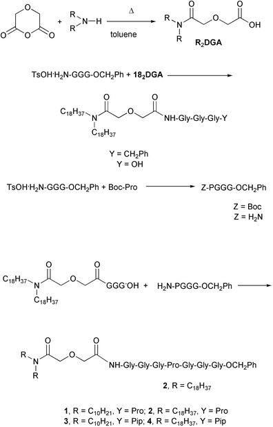 scheme, filename = b206570n-s2.gif