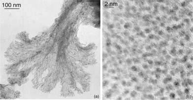 TEM (a) and HRTEM (b) micrographs showing, respectively, the “neuronal” super-structures and atomic plans of the nanoparticles observed for Colloid 2.