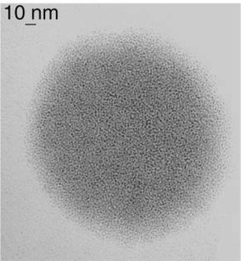 TEM micrograph of disks resulting from the preparation of Colloid 4.