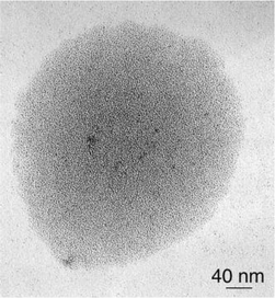 TEM micrograph of Colloid 8 showing nanoclusters organized in disks.