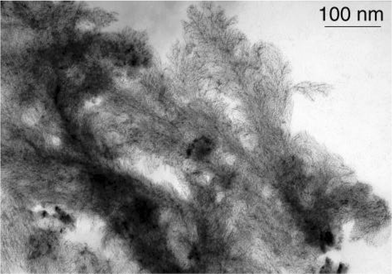 TEM micrograph of Colloid 5 evidencing the abundant formation of dendrites.