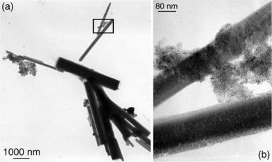 TEM micrograph of Colloid 7 showing nanocrystals (a) and an enlargement of a 2 nanocrystal junction (b).