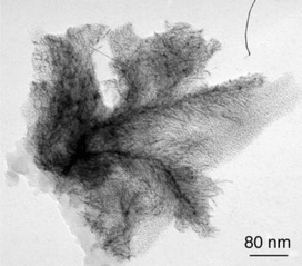 TEM micrograph of dendrites corresponding to the Colloid 9 assemblies.