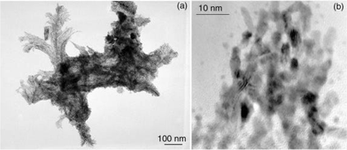 TEM (a) and HRTEM (b) micrographs showing, respectively, some dendrites and their constitutive nanoparticles noticed for Colloid 10.