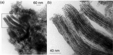 TEM micrographs of Colloid 3 showing the platinum nanowires and their assemblies (the inset of (a) is presented at a higher magnification in (b)).