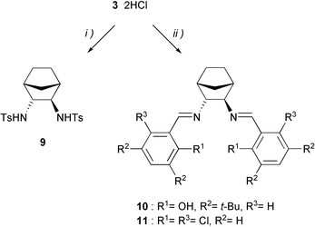 Synthesis of the ditosylate 9 and the salenes 10 and 11. Reagents and conditions: (i) TsCl, Et3N, CH2Cl2, 92%; (ii) methanol, Et3N, for salene 10: 3,5-di-tert-butyl-2-hydroxybenzaldehyde, for salene 11: 2,6-dichlorobenzaldehyde.
