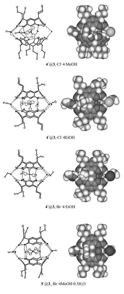 X-ray structures of resorcinarene 3 capsules have great similarity to each other. All capsules are solvent–anion mediated. Non-hydrogen-bonded atoms have been omitted for clarity from Ortep plots.