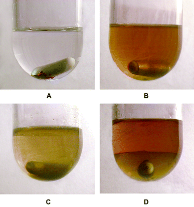Photographs of a recycling sequence analogous to the first entry in Table 3 (7, methyl acrylate) but with 0.5 mol% 7. A, before heating, with undissolved 7; B, after 2 h at 100 °C; C, after cooling to room temperature, with precipitated palladium complexes; D, after addition of C8F17Br. Reprinted from ref. 25 with permission from the American Chemical Society.