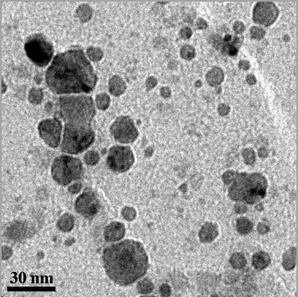 Transmission electron microscopy (TEM) image taken from panel B in Fig. 3.