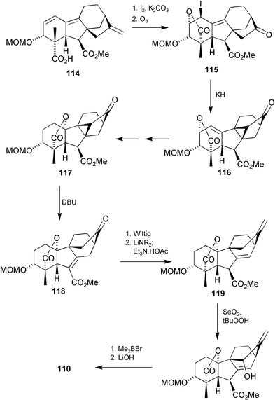 scheme, filename = b007744p-s30.gif