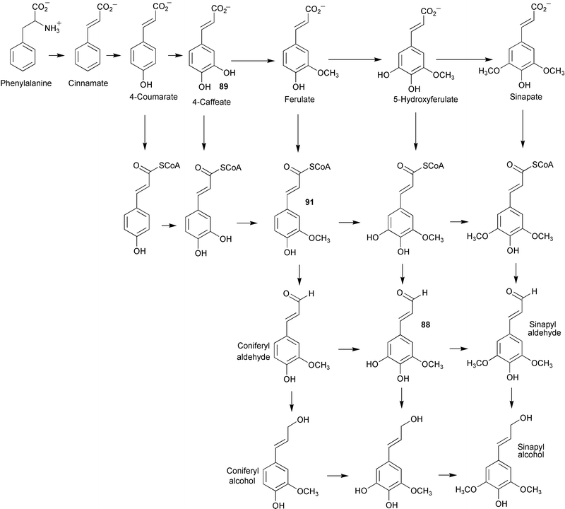 scheme, filename = b100399m-s20.gif