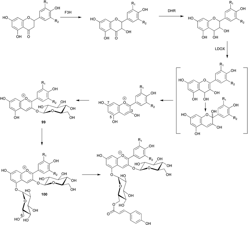 scheme, filename = b100399m-s23.gif