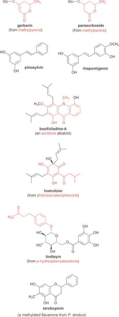 Examples of several natural products mentioned in the text that are derived from plant type III polyketide synthases. PKS product-derived portions are highlighted in red.