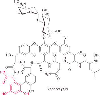 Structure of vancomycin. Red denotes the location, in antibiotics of the vancomycin class, of atoms derived from the type III PKS natural product DHPA (see also Fig. 18).