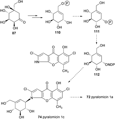 Biosynthetic pathway to pyralomicin 1a proposed by Naganawa et al.85