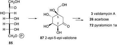 Formation of 2-epi-5-epi-valiolone, the precursor of the cyclitol moieties in validamycin, acarbose and pyralomicin.