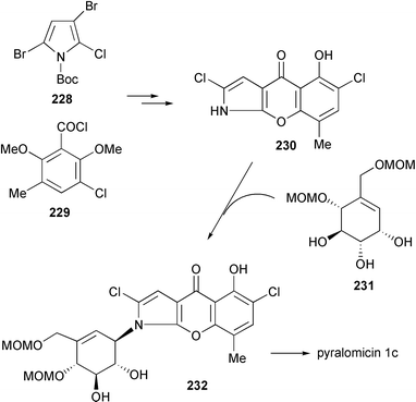 Total synthesis of pyralomicin 1c.