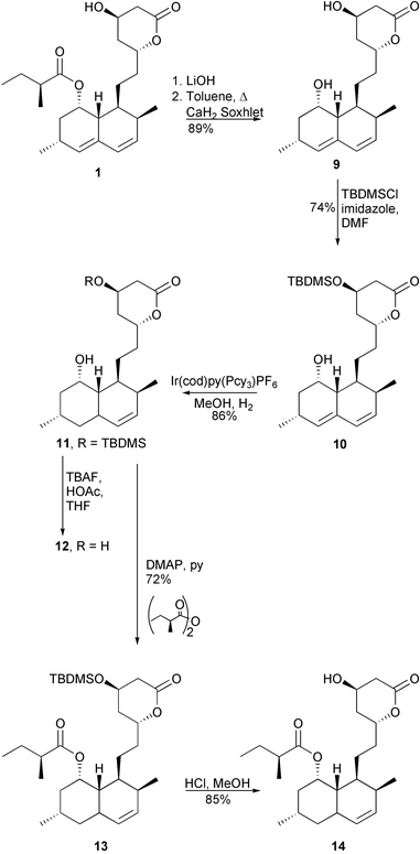 Syntheses of dihydromonacolin J 12 and dihydrolovastatin 14.