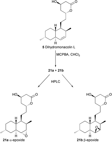 Synthesis of 21a and 21b.