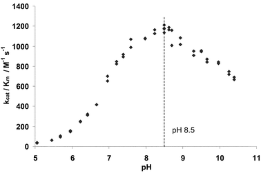 Plot of PPelastase activity (kcat/Km) towards the substrate N-suc-(L-Ala)3-p-nitroanilide (2) against pH. Initial rates measured at 1.52 × 10−6 M PPelastase, 6.0 × 10−5 M substrate, 390 nm and 30 °C in 0.1 M buffer, 6% MeCN v/v.