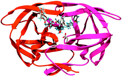 Structure of HIV PR complexed with TL-3 (PDB: 3TLH).