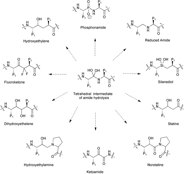 Noncleavable transition-state isostere developed for the synthesis of HIV PR inhibitors.