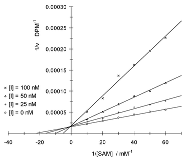 Lineweaver–Burk plot of reciprocal enzymatic activity vs. reciprocal SAM concentration for varying concentrations of inhibitor 2 at saturating benzene-1,2-diol concentration; DPM = decays per minute.