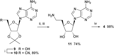 Synthesis of inhibitor 4. Reagents and conditions: (i) acetone cyanohydrin, PPh3, DEAD, THF, 0 °C → 20 °C; (ii) PtO2, AcOH, H2, 20 °C; (iii) TFA–H2O (5∶2), 20 °C, then Dowex® 50 Wx4 (NH4+); (iv) Et3N, DMF, 20 °C.