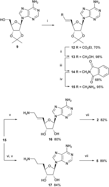 Synthesis of inhibitors 2 and 5. Reagents and conditions: (i)
o-iodoxybenzoic acid (IBX), Ph3PCHCO2Et, Me2SO, 20 °C; (ii) DIBAL-H, hexane, CH2Cl2, −78 °C; (iii) phthalimide, DEAD, PPh3, THF, 20 °C; (iv) MeNH2, EtOH, 20 °C; (v) TFA–H2O (5∶2), 20 °C, then Dowex® 50 Wx4 (NH4+); (vi) H2, Pd/C, EtOH, 20 °C; (vii) Et3N, DMF, 20 °C.
