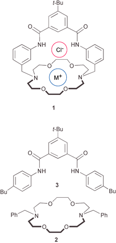 Structures of 1·M+Cl− complex and partial ion receptors 2 and 3.