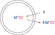 Proposed mechanism for Cl− efflux mediated by transporter 1.