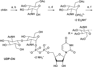 a) H2SO4, Ac2O, △, ≈10%; b) N2H4·HOAc, DMF, 83%; c) i. LDA, THF ii. [(BnO)2PO]2O, 77%; d) H2, Pd/C, CH3OH–NEt3, 99%; e) UMP morpholidate, tetrazole, py, 55%; f) CH3OH–NH3, 85%.