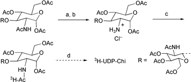 a) HCl, AcOH–Ac2O, 61%; b) 1 eq. H2O, acetone, 72%; c)AcO–3H-Ac2O, py, 83%; d) as Scheme 1.