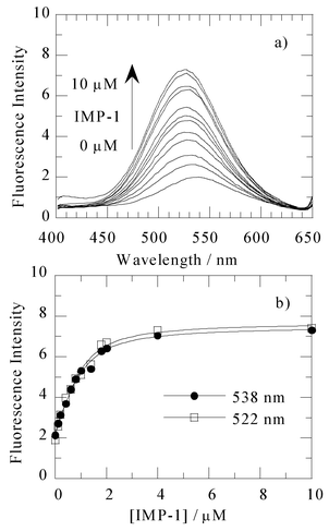 (a) Fluorescence emission spectra (excitation 340 nm) of 1 µM 1 in the presence of various concentrations of the IMP-1 metallo-β-lactamase ranging from 0 to 10 µM. These spectra were measured at 25 °C, in 50 mM Tris–HCl buffered solution (pH 7.4) containing 0.5 M NaCl and 10% methanol. (b) Fluorescence intensity of emission as a function of the added IMP-1 metallo-β-lactamase concentration monitored at 522 and 538 nm. An apparent KD of 0.36 µM was observed by analysing the data with a nonlinear least-squares fitting.28