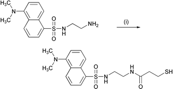 
          Reagents: (i) DCC, 3-mercaptopropionic acid, and ethyl acetate.