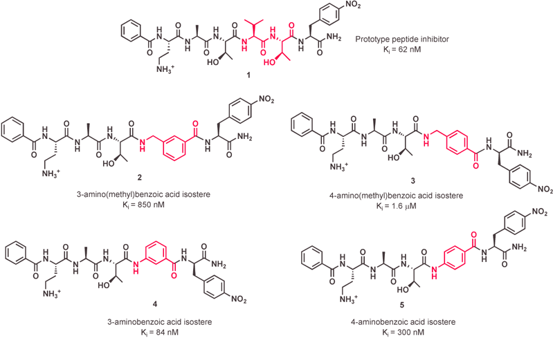 Inhibitors including dipeptide isosteres in place of the Val-Thr dipeptide.